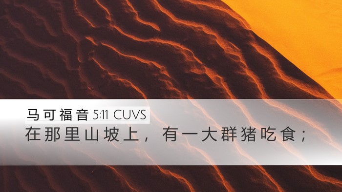 马 可 福 音 5:11 CUVS Desktop Wallpaper - 在 那 里 山 坡 上 ， 有 一 大 群 猪 - Desktop Bible Verse Wallpaper