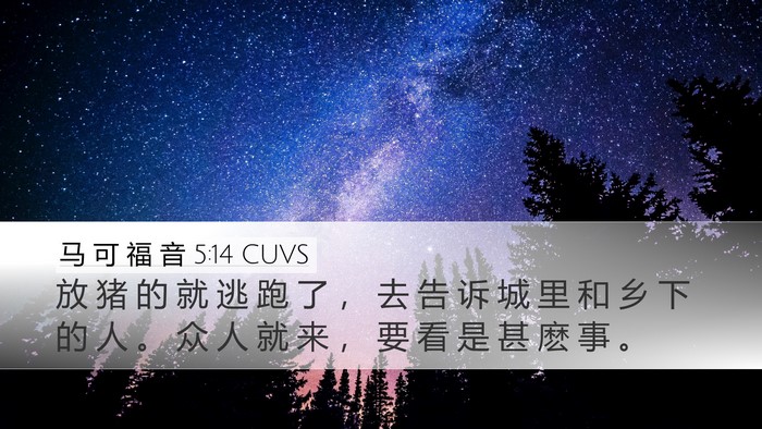 马 可 福 音 5:14 CUVS Bible Verse Image