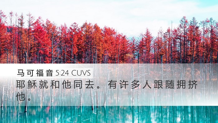 马 可 福 音 5:24 CUVS Desktop Wallpaper - 耶 稣 就 和 他 同 去 。 有 许 多 人 - Desktop Bible Verse Wallpaper