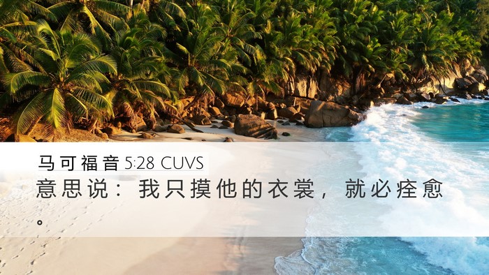 马 可 福 音 5:28 CUVS Desktop Wallpaper - 意 思 说 ： 我 只 摸 他 的 衣 裳 ， - Desktop Bible Verse Wallpaper