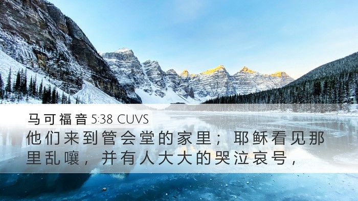 马 可 福 音 5:38 CUVS Bible Verse Image