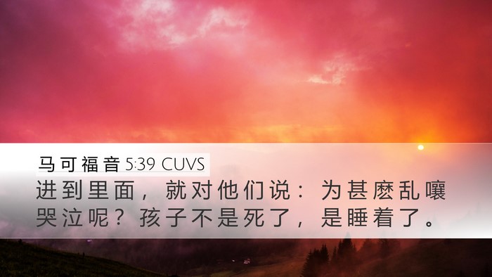马 可 福 音 5:39 CUVS Desktop Wallpaper - 进 到 里 面 ， 就 对 他 们 说 ： 为 - Desktop Bible Verse Wallpaper