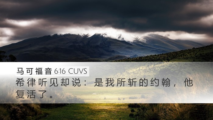马 可 福 音 6:16 CUVS Bible Verse Image