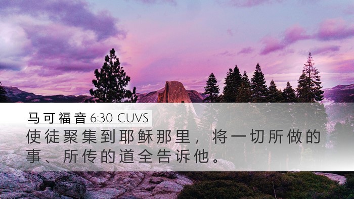 马 可 福 音 6:30 CUVS Bible Verse Image