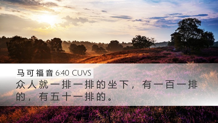 马 可 福 音 6:40 CUVS Desktop Wallpaper - 众 人 就 一 排 一 排 的 坐 下 ， 有 - Desktop Bible Verse Wallpaper