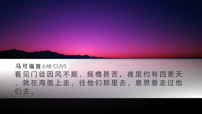 马 可 福 音 6:48 CUVS Bible Verse Image