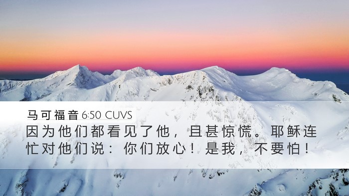马 可 福 音 6:50 CUVS Desktop Wallpaper - 因 为 他 们 都 看 见 了 他 ， 且 甚 - Desktop Bible Verse Wallpaper