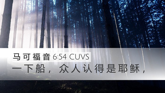 马 可 福 音 6:54 CUVS Bible Verse Image