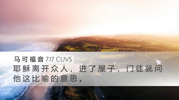 马 可 福 音 7:17 CUVS Bible Verse Image