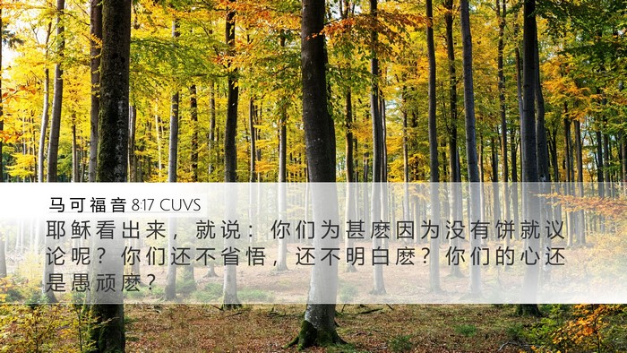 马 可 福 音 8:17 CUVS Bible Verse Image