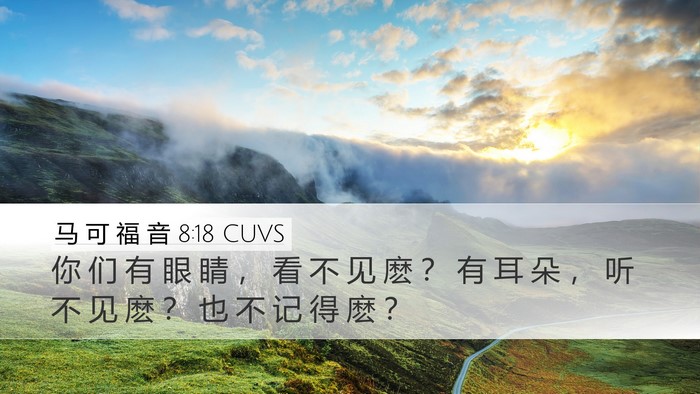 马 可 福 音 8:18 CUVS Desktop Wallpaper - 你 们 有 眼 睛 ， 看 不 见 麽 ？ 有 - Desktop Bible Verse Wallpaper
