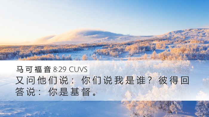 马 可 福 音 8:29 CUVS Bible Verse Image