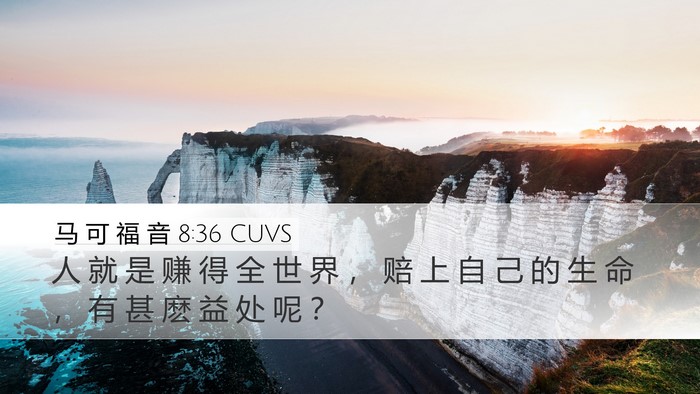 马 可 福 音 8:36 CUVS Bible Verse Image