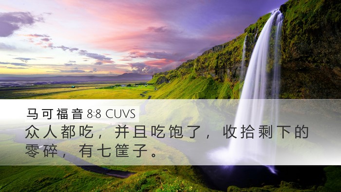 马 可 福 音 8:8 CUVS Bible Verse Image