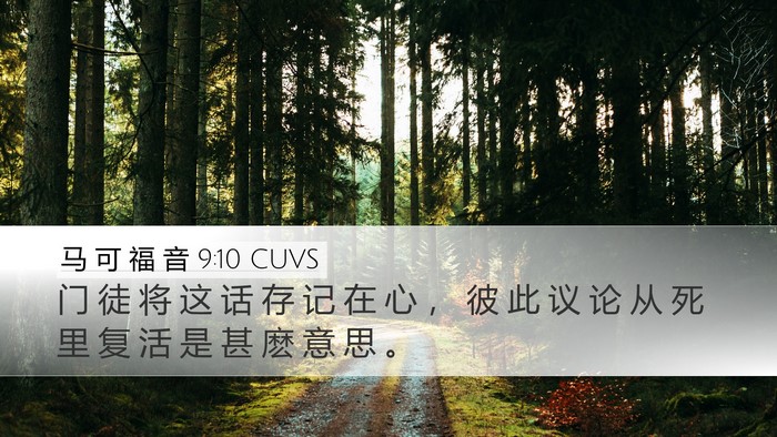 马 可 福 音 9:10 CUVS Bible Verse Image