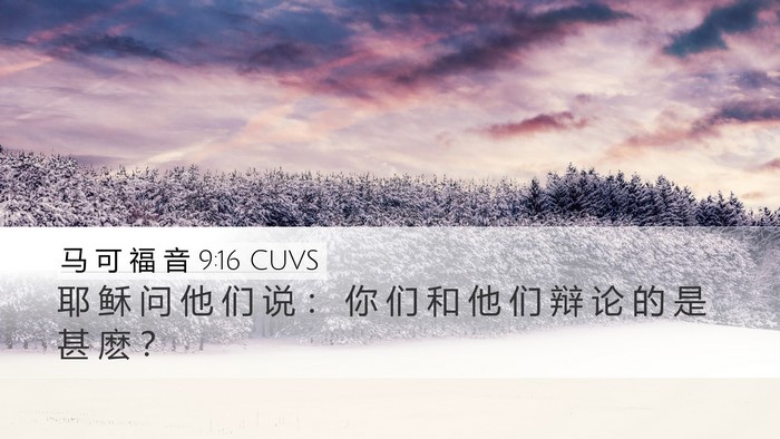 马 可 福 音 9:16 CUVS Desktop Wallpaper - 耶 稣 问 他 们 说 ： 你 们 和 他 们 - Desktop Bible Verse Wallpaper