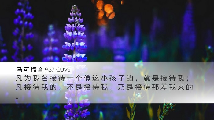 马 可 福 音 9:37 CUVS Bible Verse Image