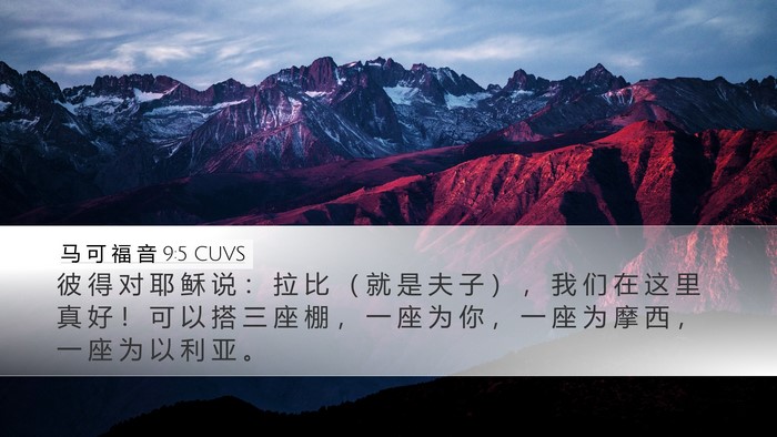 马 可 福 音 9:5 CUVS Bible Verse Image