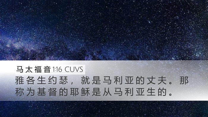马 太 福 音 1:16 CUVS Bible Verse Image