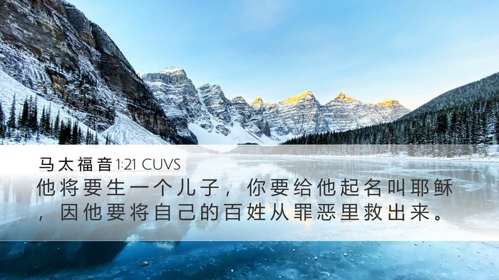 马 太 福 音 1:21 CUVS Bible Verse Image