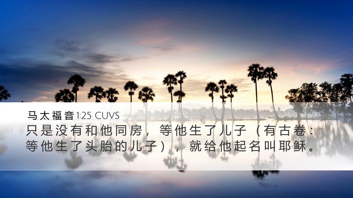 马 太 福 音 1:25 CUVS Bible Verse Image