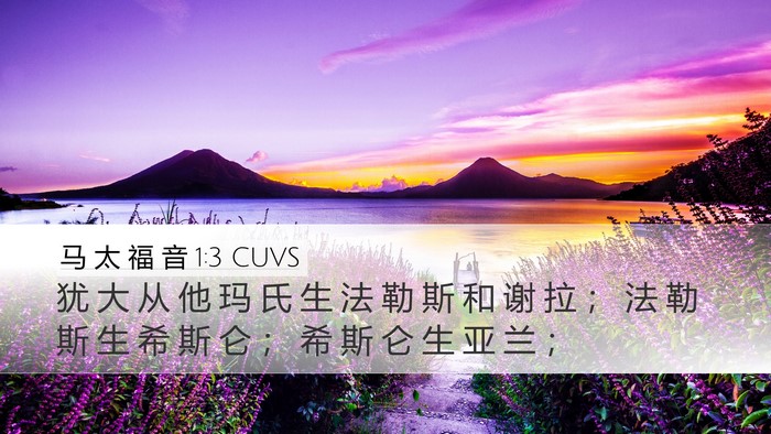 马 太 福 音 1:3 CUVS Bible Verse Image