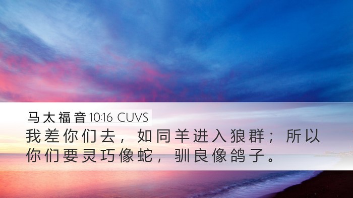 马 太 福 音 10:16 CUVS Bible Verse Image