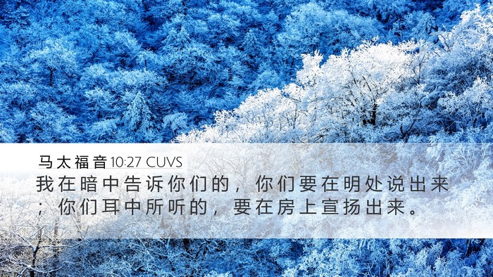 马 太 福 音 10:27 CUVS Bible Verse Image