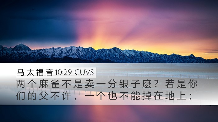 马 太 福 音 10:29 CUVS Bible Verse Image