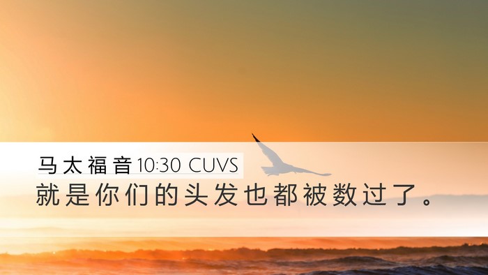 马 太 福 音 10:30 CUVS Bible Verse Image