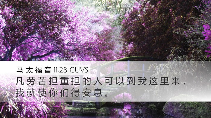 马 太 福 音 11:28 CUVS Bible Verse Image