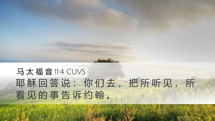 马 太 福 音 11:4 CUVS Bible Verse Image