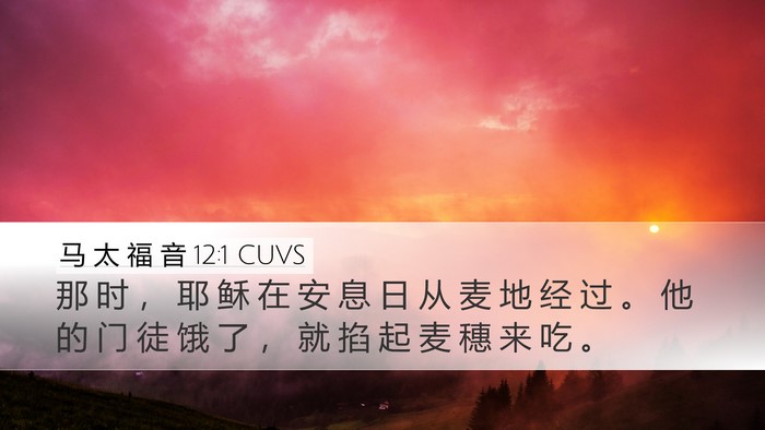 马 太 福 音 12:1 CUVS Desktop Wallpaper - 那 时 ， 耶 稣 在 安 息 日 从 麦 地 - Desktop Bible Verse Wallpaper