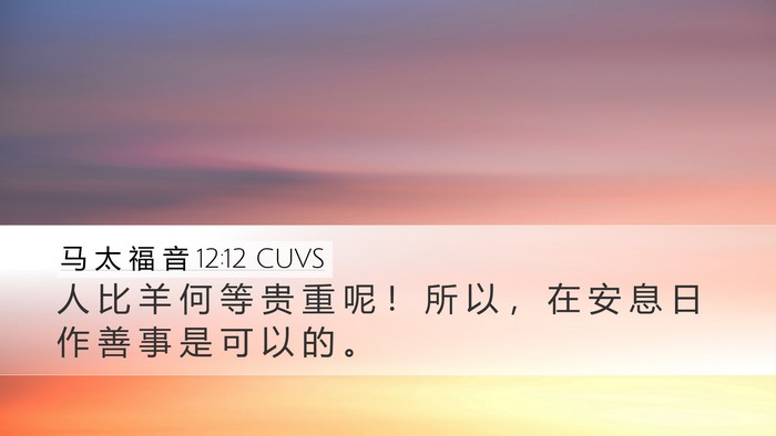 马 太 福 音 12:12 CUVS Bible Verse Image