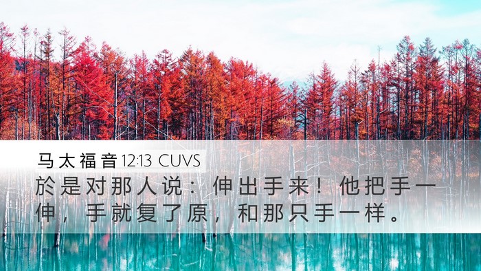 马 太 福 音 12:13 CUVS Desktop Wallpaper - 於 是 对 那 人 说 ： 伸 出 手 来 ！ - Desktop Bible Verse Wallpaper