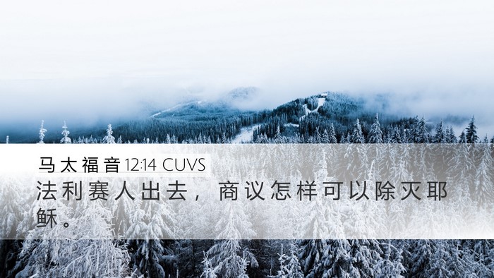 马 太 福 音 12:14 CUVS Bible Verse Image