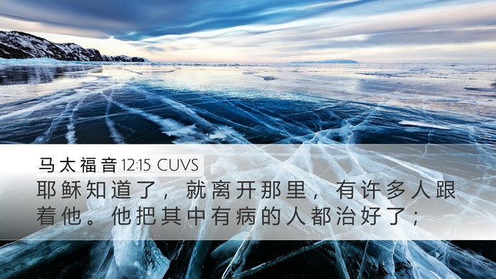 马 太 福 音 12:15 CUVS Bible Verse Image