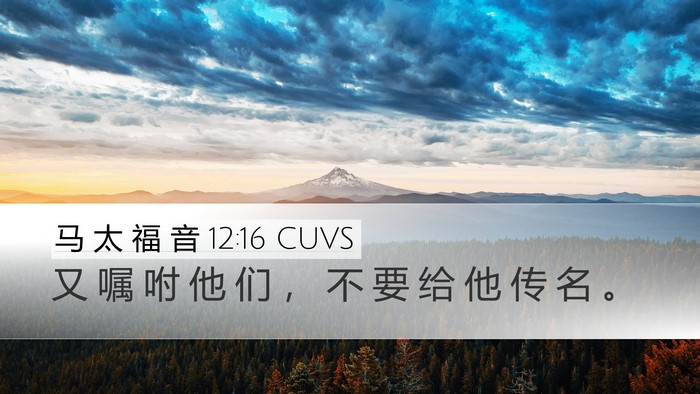 马 太 福 音 12:16 CUVS Bible Verse Image