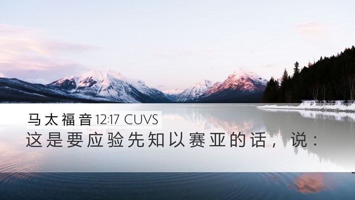 马 太 福 音 12:17 CUVS Bible Verse Image