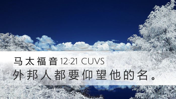 马 太 福 音 12:21 CUVS Desktop Wallpaper - 外 邦 人 都 要 仰 望 他 的 名 - Desktop Bible Verse Wallpaper