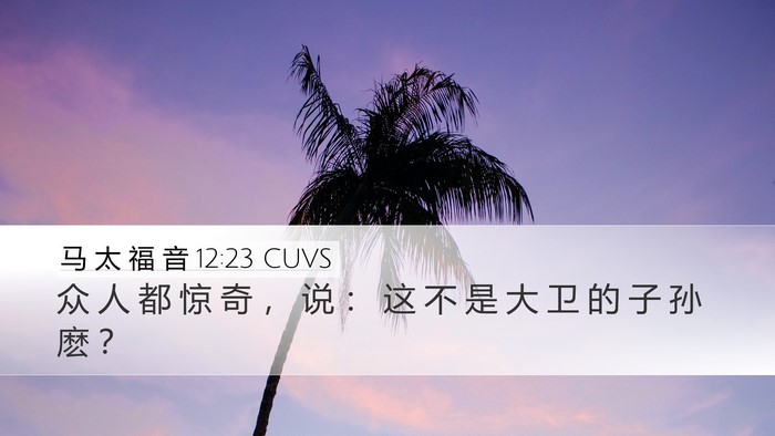 马 太 福 音 12:23 CUVS Bible Verse Image