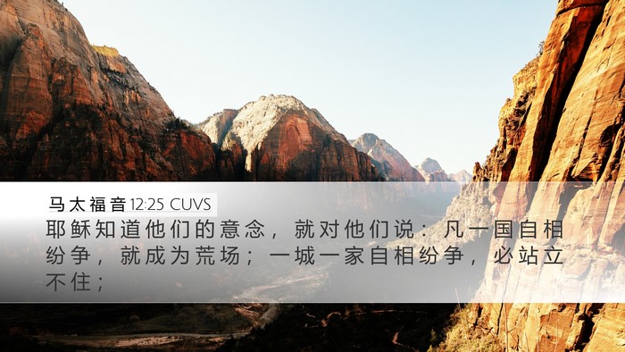 马 太 福 音 12:25 CUVS Bible Verse Image