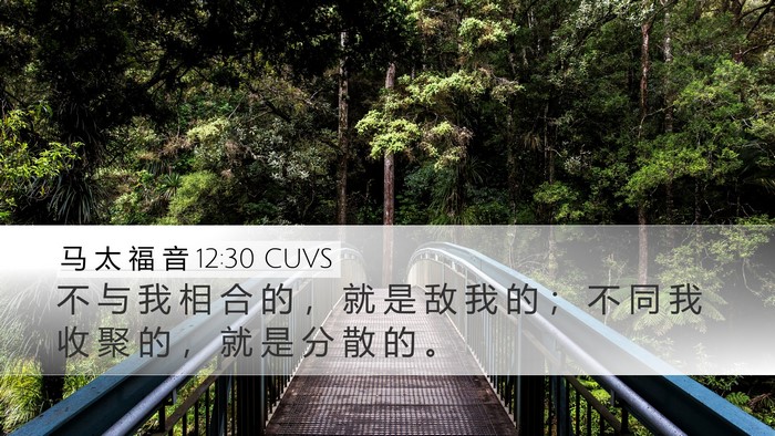 马 太 福 音 12:30 CUVS Bible Verse Image