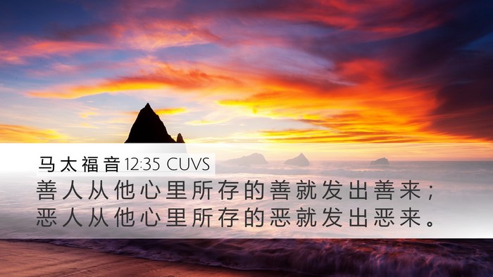马 太 福 音 12:35 CUVS Bible Verse Image