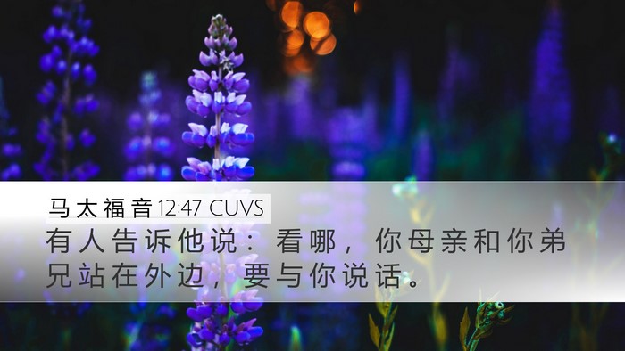 马 太 福 音 12:47 CUVS Desktop Wallpaper - 有 人 告 诉 他 说 ： 看 哪 ， 你 母 - Desktop Bible Verse Wallpaper