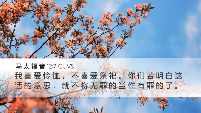 马 太 福 音 12:7 CUVS Bible Verse Image