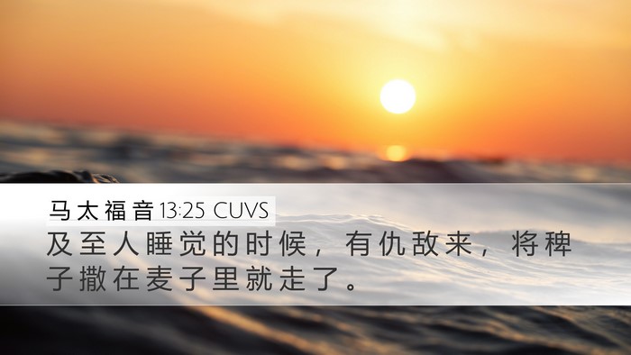 马 太 福 音 13:25 CUVS Bible Verse Image