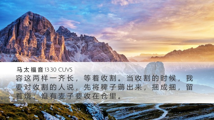 马 太 福 音 13:30 CUVS Bible Verse Image