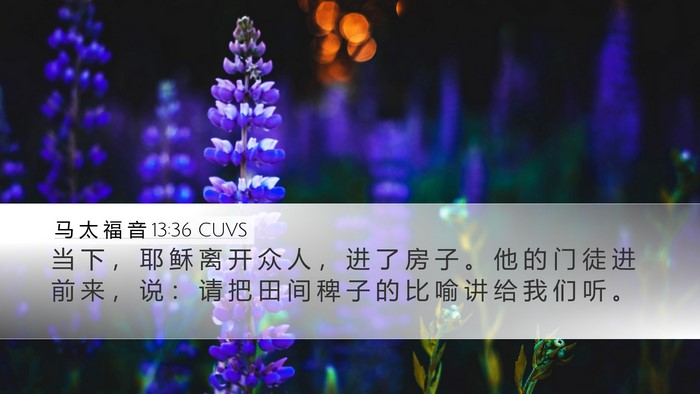 马 太 福 音 13:36 CUVS Bible Verse Image