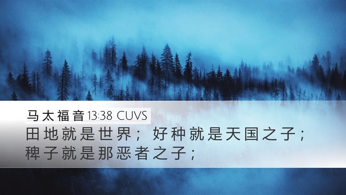 马 太 福 音 13:38 CUVS Desktop Wallpaper - 田 地 就 是 世 界 ； 好 种 就 是 天 - Desktop Bible Verse Wallpaper